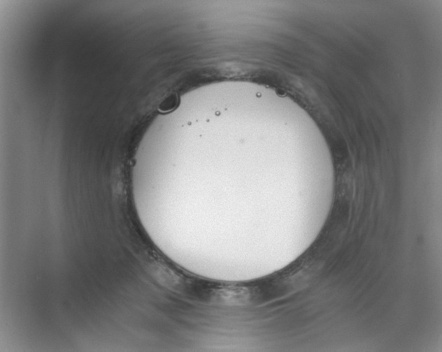 X0000073840317200608311941