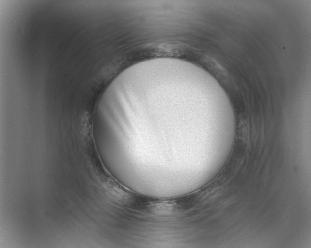 X0000073840318200608311941