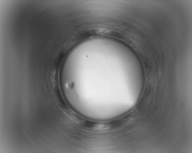 X0000073840319200608311941