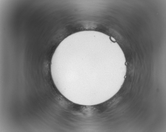 X0000073840321200608311941