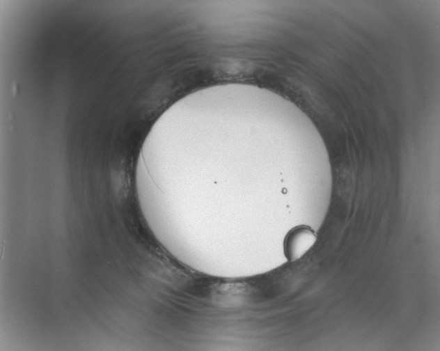 X0000073840324200608311941