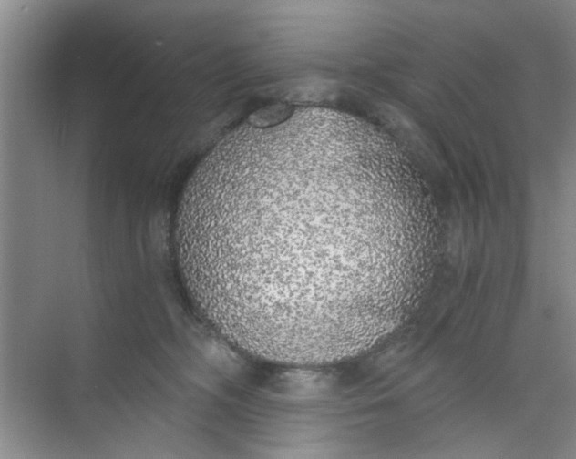 X0000073840326200608311941