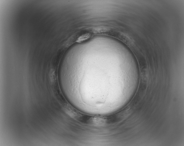 X0000073840327200608311941