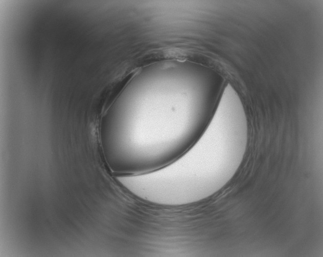 X0000073840329200608311941