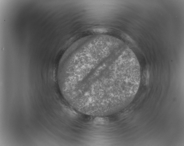 X0000073840330200608311941