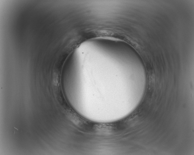 X0000073840331200608311941