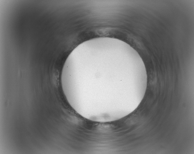 X0000073840332200608311941