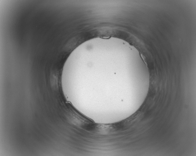 X0000073840333200608311941