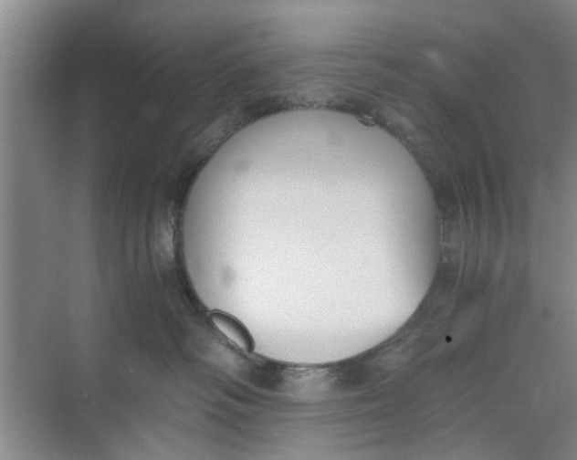 X0000073840334200608311941