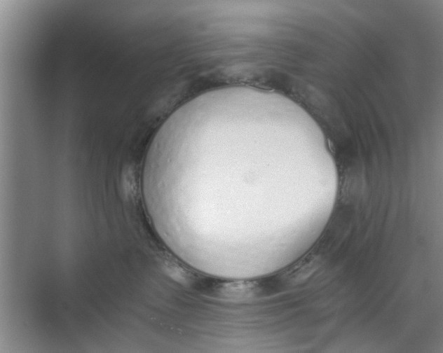 X0000073840335200608311941