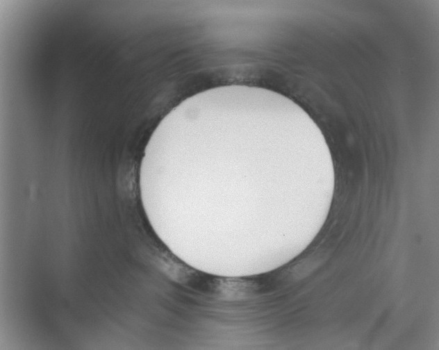 X0000073840336200608311941