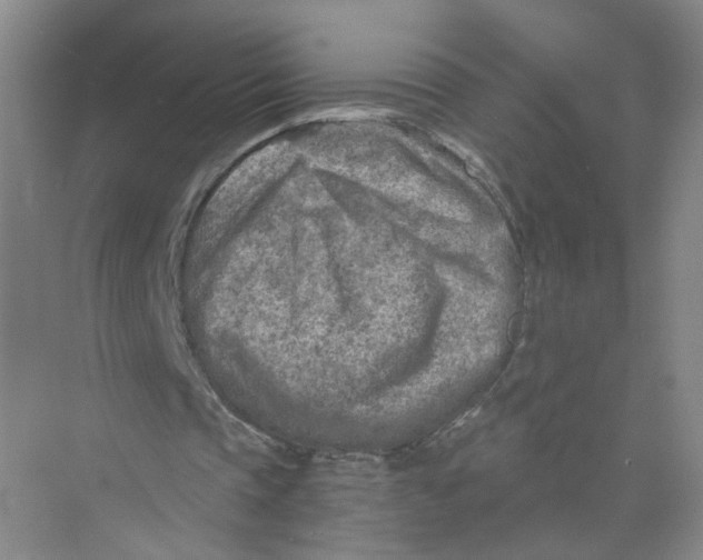 X0000073840337200608311940