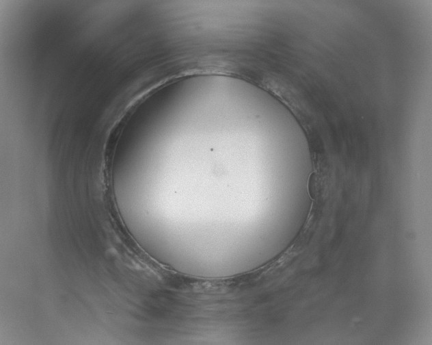 X0000073840338200608311940