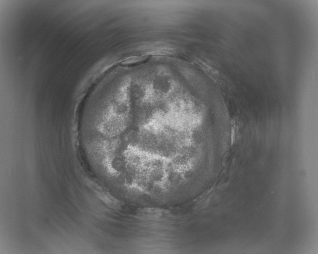 X0000073840339200608311940