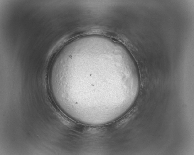 X0000073840341200608311940