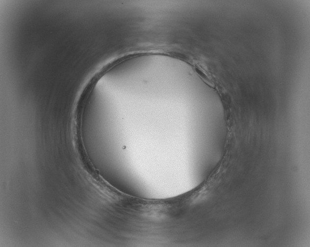 X0000073840342200608311940