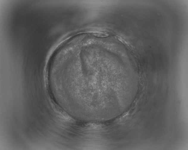 X0000073840343200608311940