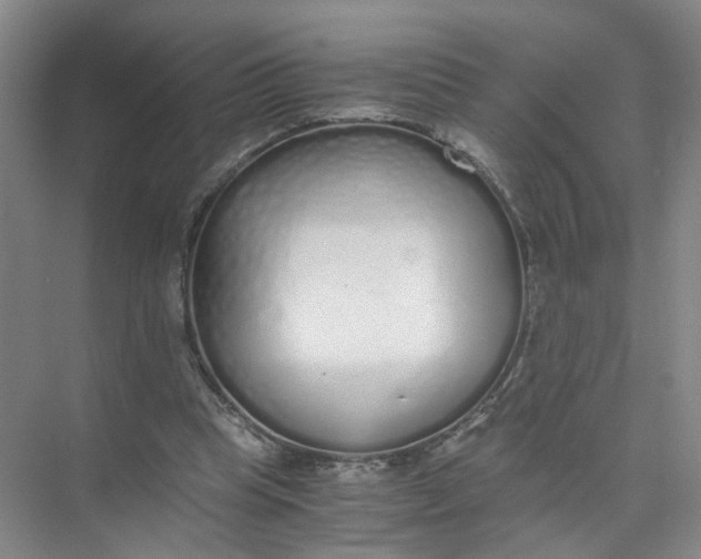 X0000073840345200608311940