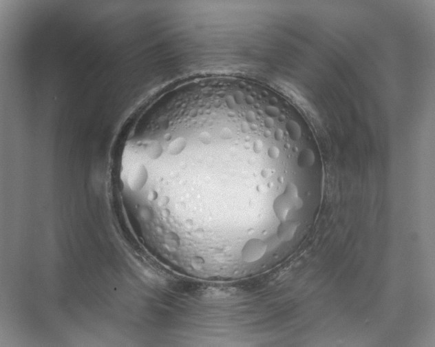 X0000073840346200608311940