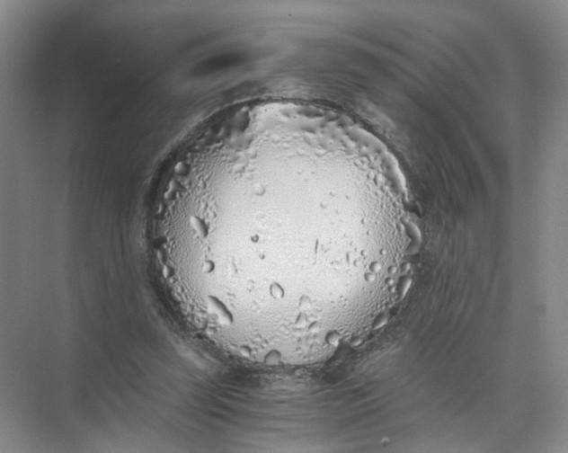 X0000073840347200608311940