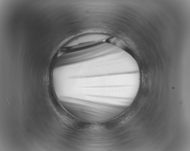 X0000073840348200608311940