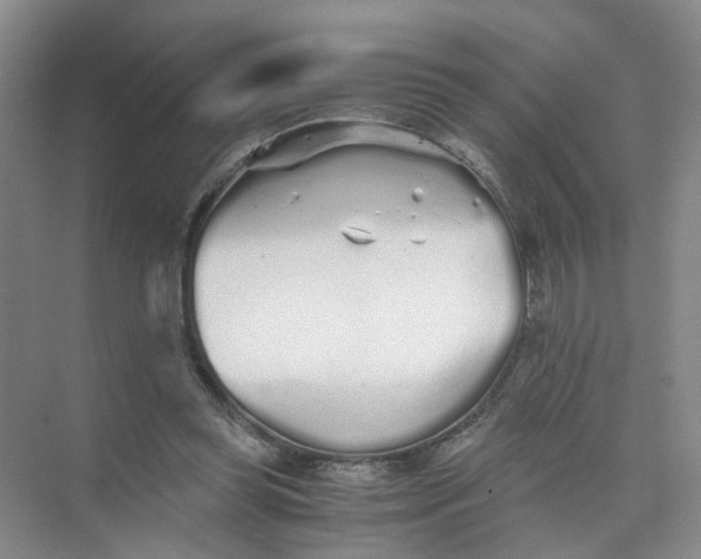 X0000073840349200608311940