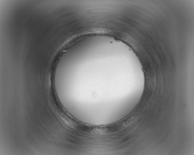 X0000073840350200608311940