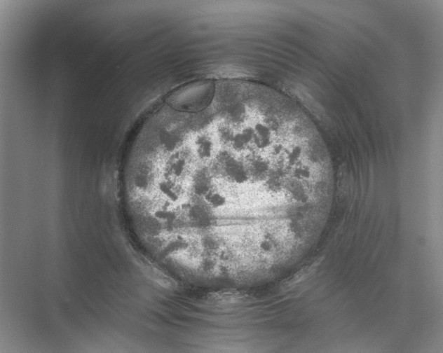 X0000073840351200608311940