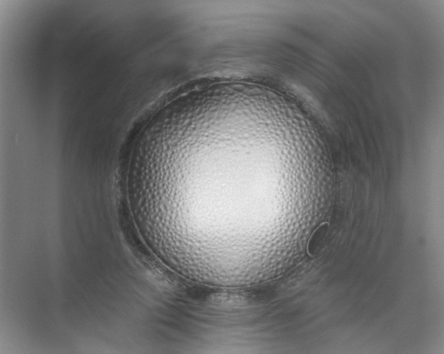 X0000073840354200608311940