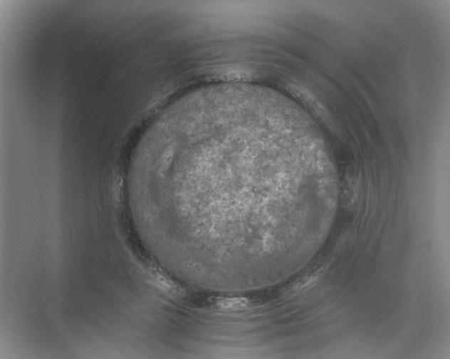 X0000073840355200608311940