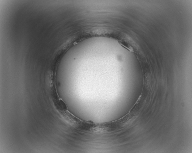 X0000073840356200608311940