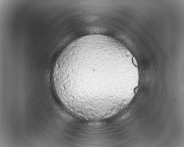 X0000073840357200608311940