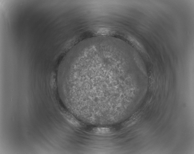 X0000073840361200608311941