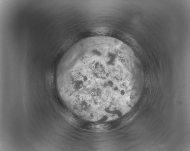 X0000073840365200608311941