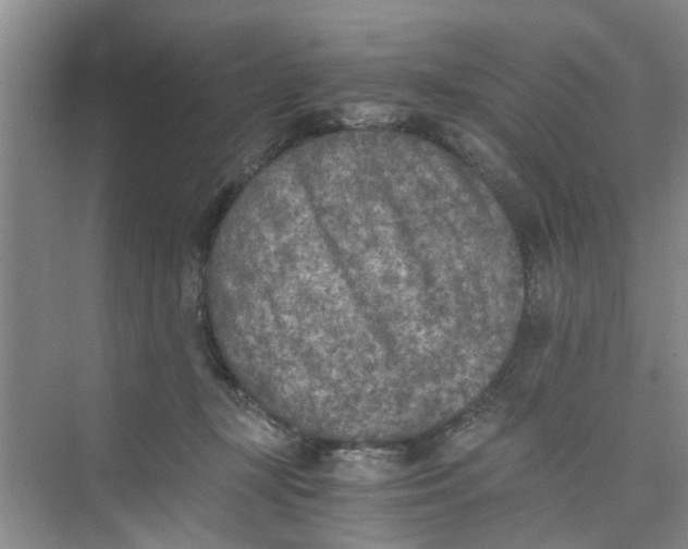 X0000073840367200608311941