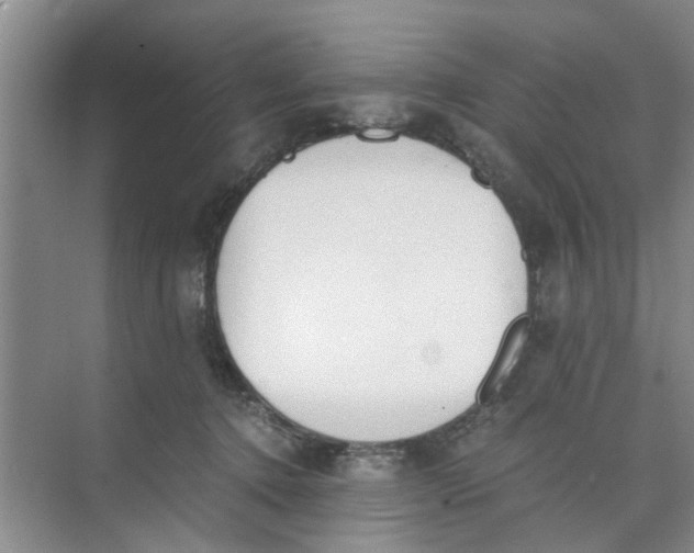 X0000073840368200608311941