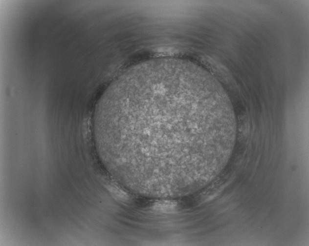 X0000073840369200608311941