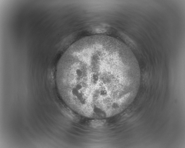 X0000073840373200608311941