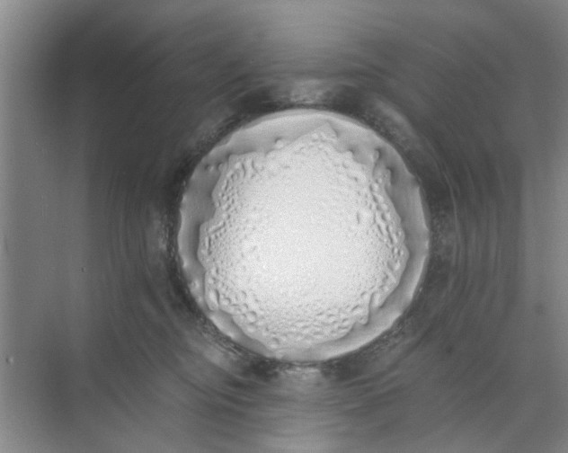 X0000073840374200608311941