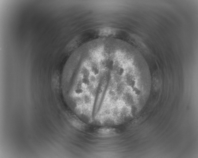 X0000073840375200608311941