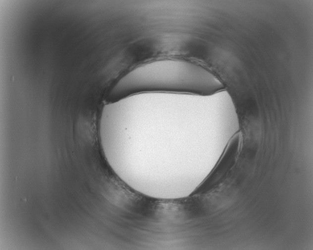 X0000073840376200608311941