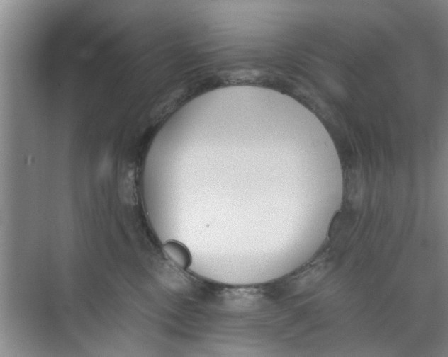 X0000073840378200608311941