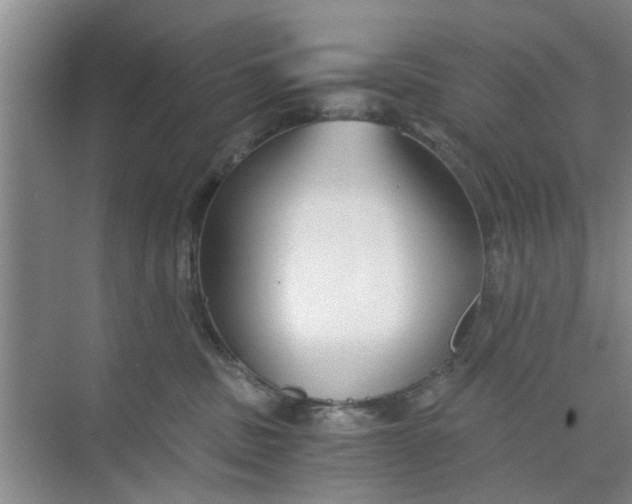 X0000073840379200608311941