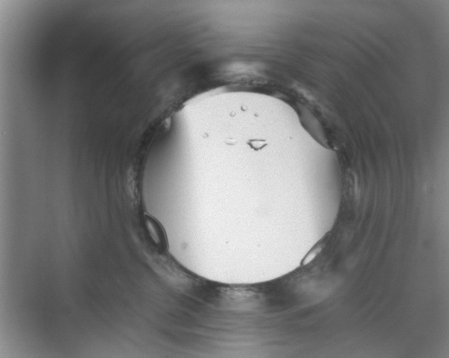 X0000073840380200608311941