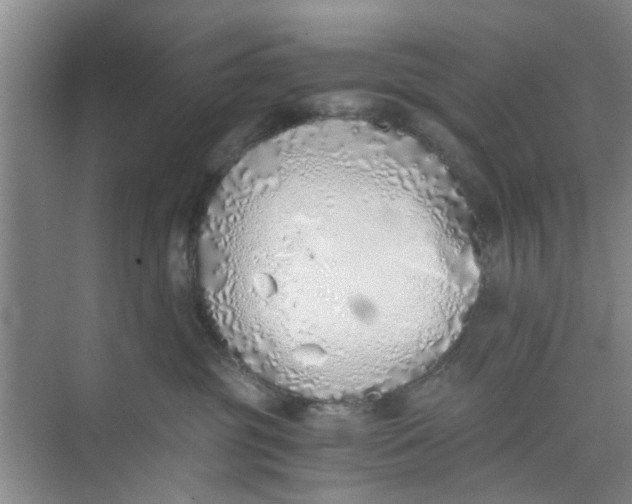 X0000073840381200608311941