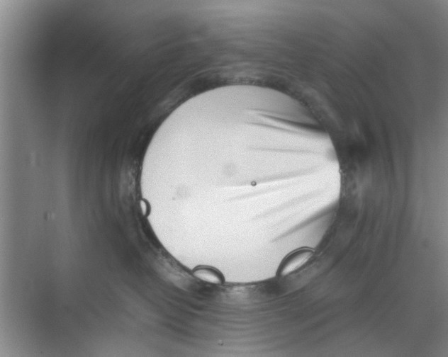 X0000073840382200608311941