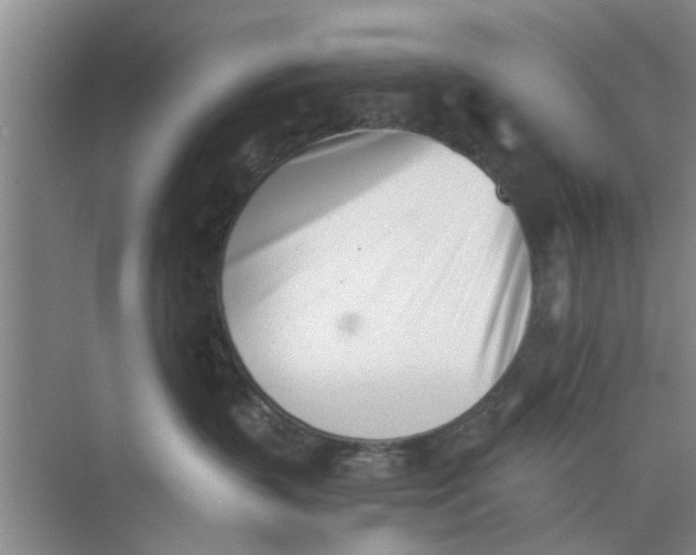 X0000073840383200608311941