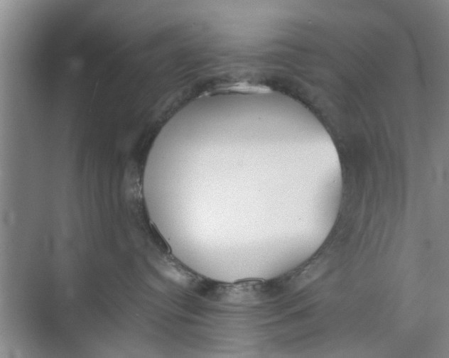 X0000073840384200608311941