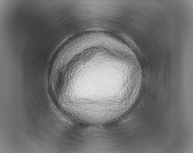 X0000073840386200608311940