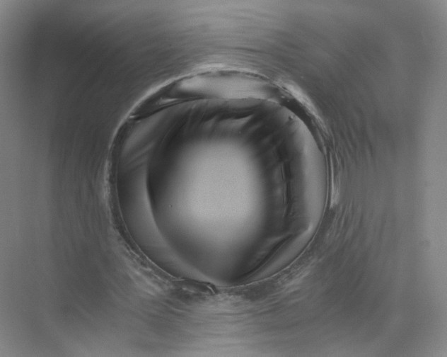 X0000073840387200608311940